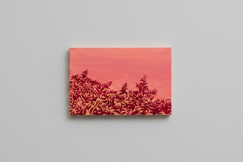 Summer sky 3 (golden hour)