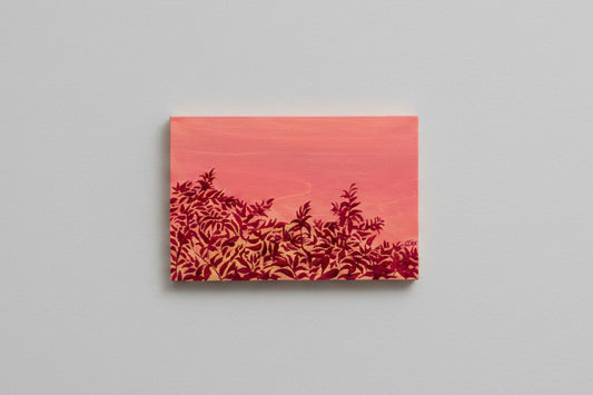 Summer sky 3 (golden hour)