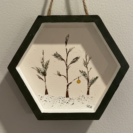 Trio Snowday shadowbox