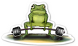Strong Frog